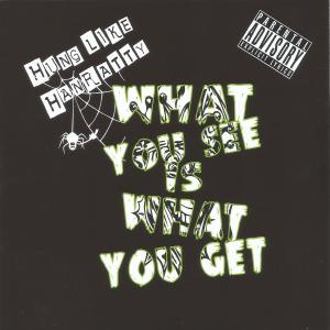 อัลบัม What You See Is What You Get. (Explicit) ศิลปิน Hung Like Hanratty