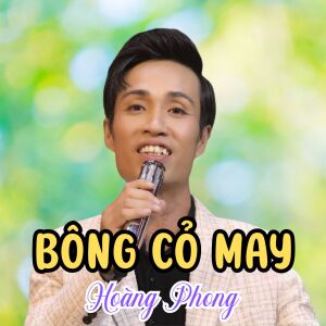 Album Bông Cỏ May from Hoàng Phong