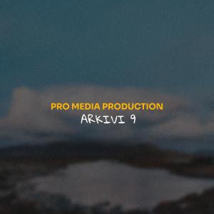 Various的专辑Produksioni Pro Media
