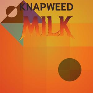Listen to Suggested Farmland song with lyrics from Zacheus Riya