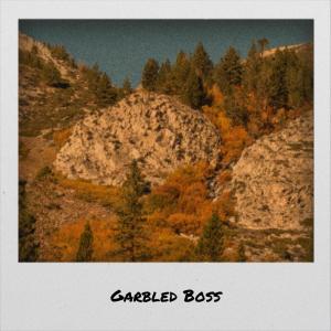 Listen to Tangerine song with lyrics from Alle Bodein