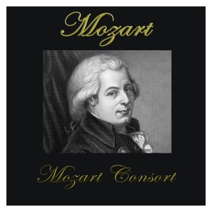 收聽Mozart Consort的Symphony No. 40 in G Minor歌詞歌曲