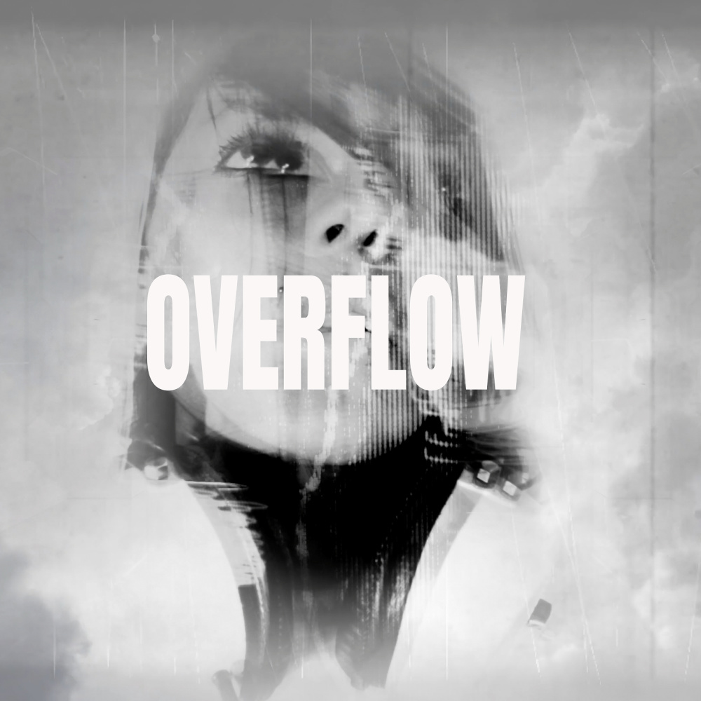 OVERFLOW (SPEDUP)