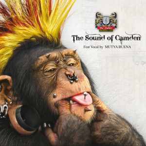 ดาวน์โหลดและฟังเพลง Like A Stone พร้อมเนื้อเพลงจาก The Sound Of Camden