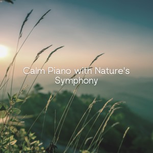 Calm Piano with Nature's Symphony (Serene Water Sounds for Meditation and Sleep)
