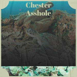Listen to Upper Cancelled song with lyrics from Malyse