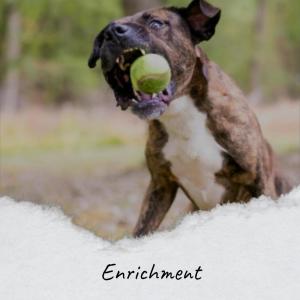 Listen to Enrichment song with lyrics from Terral Cally
