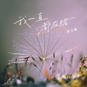 ดาวน์โหลดและฟังเพลง 我一直都在赌 พร้อมเนื้อเพลงจาก 安儿陈