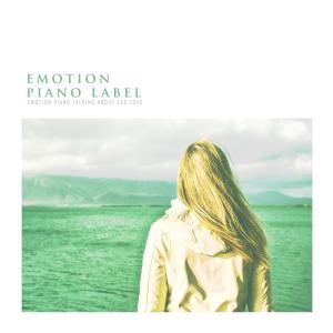 Various Artists的专辑Emotion Piano Talking About Sad Love