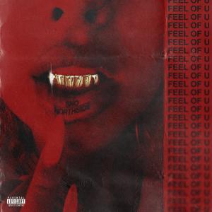 SNO的專輯Feel of You (feat. NORTHSIDE) (Explicit)