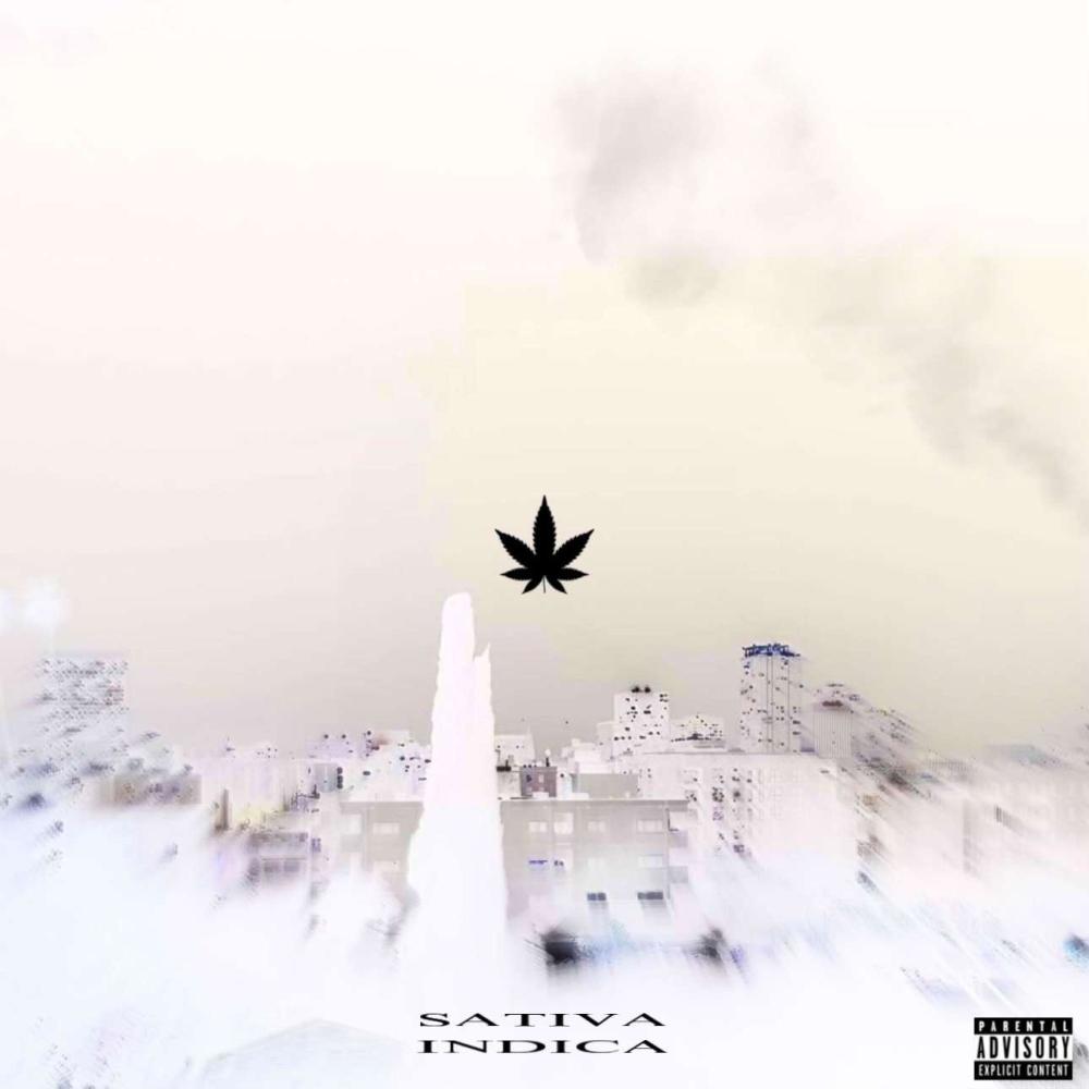 Too Many Pills (feat. Kai4k) (Explicit)