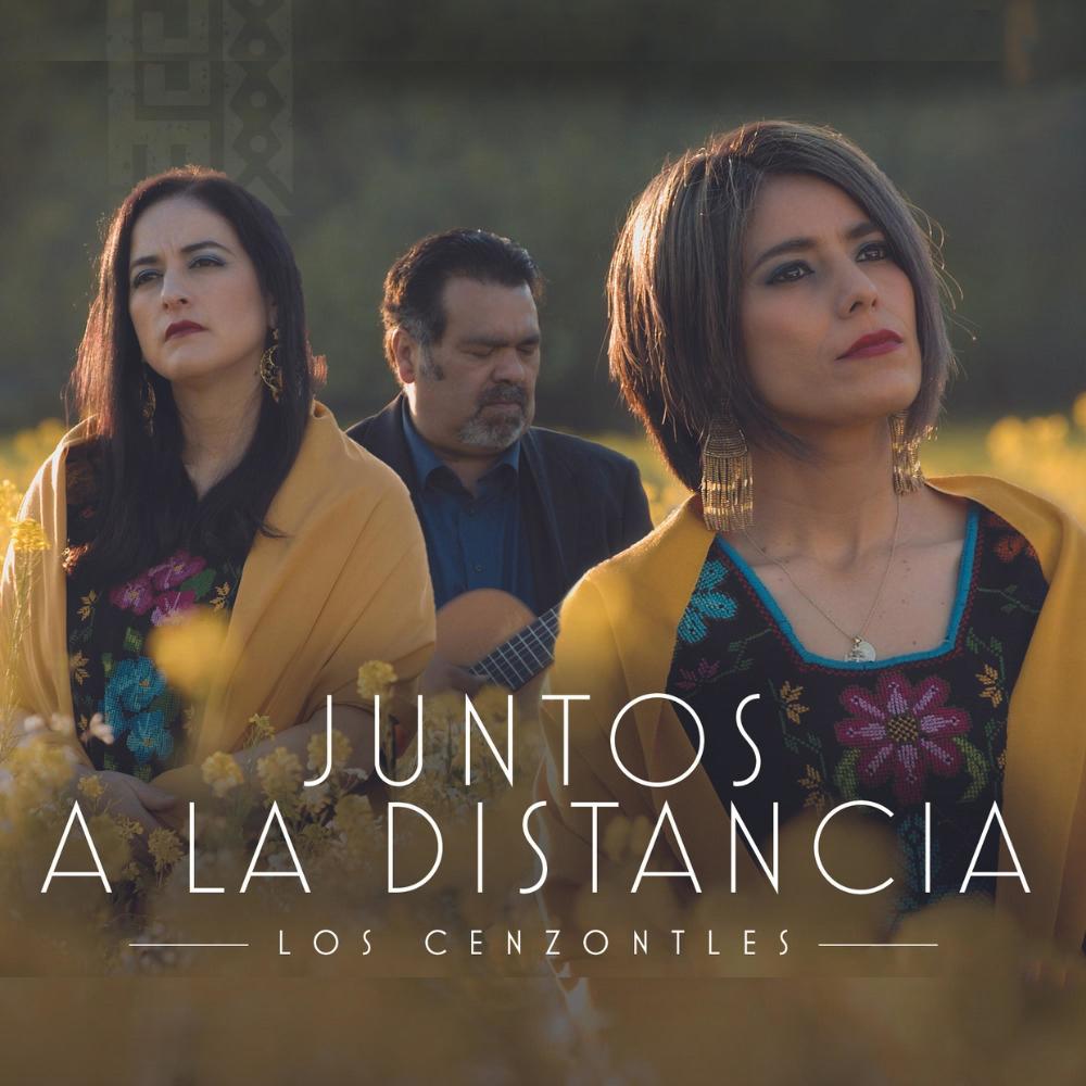 Somebody Please (feat. David Hidalgo, Cesar Rosas & La Marisoul)