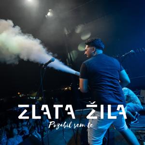 Listen to Pozabil sem te song with lyrics from Zlata žila