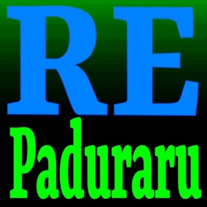 Paduraru的專輯RE (Fit Mix)