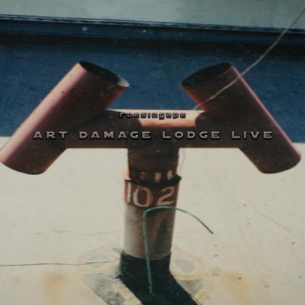 Art Damage Lodge Live