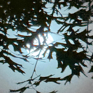 收聽JayTizzle的The Most! (Explicit)歌詞歌曲