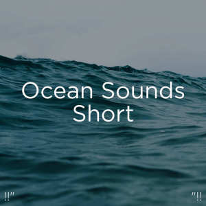 收听Ocean Sounds的Sleepy Waves Crashing歌词歌曲