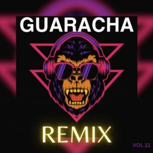 Listen to GUARACHA song with lyrics from Dj Santana