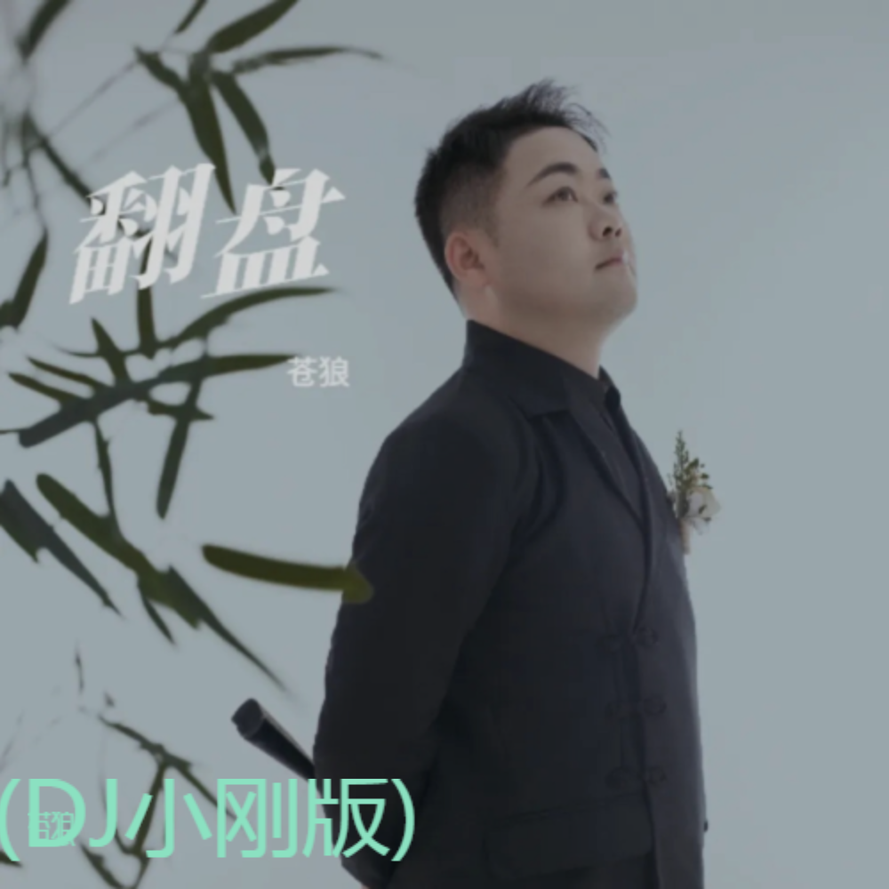 翻盘(DJ小刚版) (伴奏)