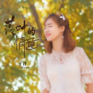 Listen to 落叶的情意（DJ沈浪版） (伴奏) song with lyrics from 于洋
