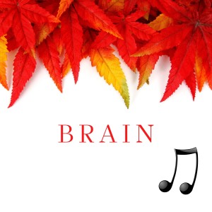 Minimind的專輯Brain