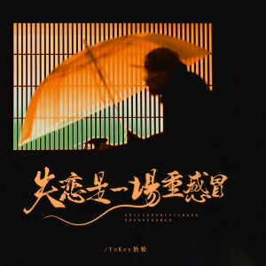 Album 失恋是一场重感冒 from YoKey奶粉
