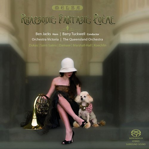 Phantasy for Horn and Orchestra
