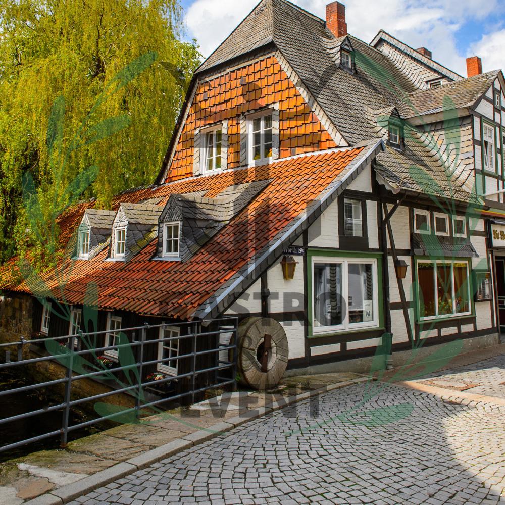 Goslar, unsere Heimat