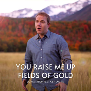 You Raise Me Up / Fields of Gold