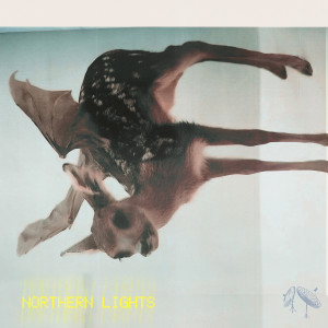 KennyHoopla的專輯NORTHERN LIGHTS//