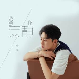 Listen to 我会安静的 song with lyrics from 小来