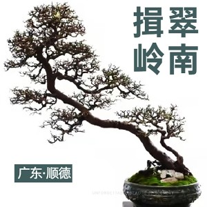 Listen to 揖翠岭南 (伴奏) song with lyrics from 黄伟成