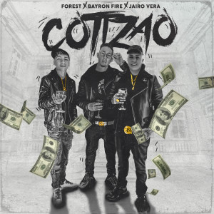 Listen to Cotizao song with lyrics from Bayronfire