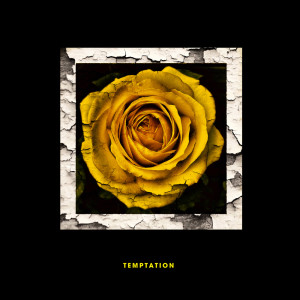 Listen to Temptation (Cinnamon Chasers Remix) (其他) song with lyrics from All Hail The Silence