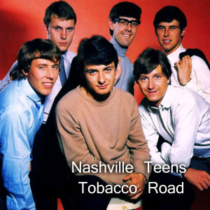 ดาวน์โหลดและฟังเพลง I'm Coming Home พร้อมเนื้อเพลงจาก Nashville Teens