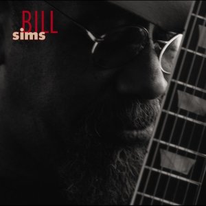 ดาวน์โหลดและฟังเพลง Just Like You (Album Version) พร้อมเนื้อเพลงจาก Bill Sims
