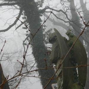 ดาวน์โหลดและฟังเพลง IWISHIDIEDBEFOREIKNEW (Explicit) พร้อมเนื้อเพลงจาก Saddie