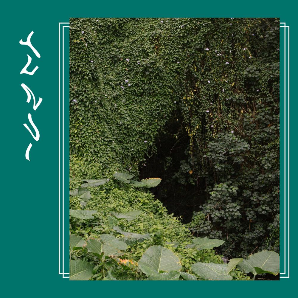 Take a While (其他)