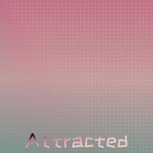 Various Artists的專輯Attracted