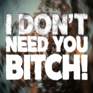Album I DON'T NEED YOU ***** (Explicit) oleh SepBoy