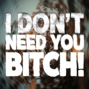 Album I DON'T NEED YOU ***** (Explicit) from 