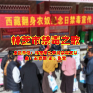 小云的专辑林芝市禁毒之歌