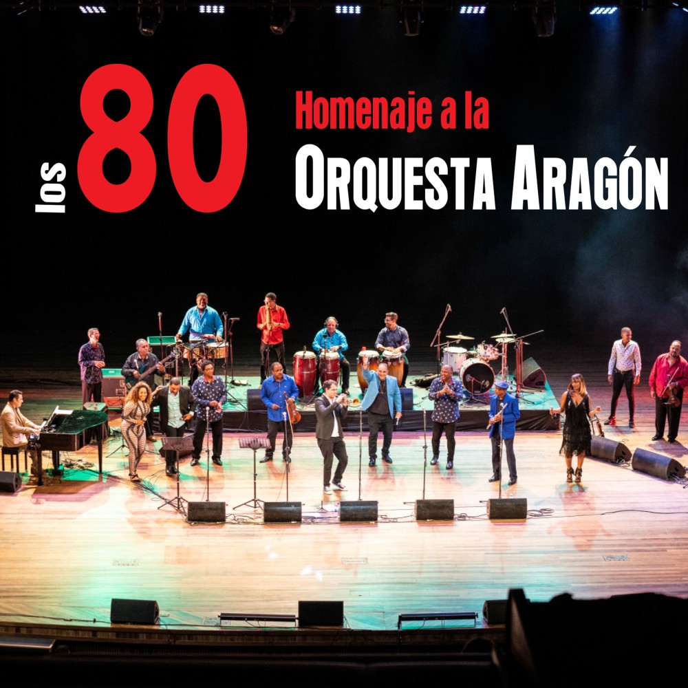 Arriba 103+ Foto la orquesta de los tanuki del bosque Alta definición completa, 2k, 4k