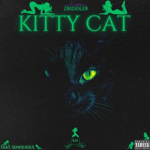 ดาวน์โหลดและฟังเพลง Kitty Cat (feat. Senoj Soul) (Explicit) พร้อมเนื้อเพลงจาก Zriddler