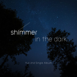 Album Shimmer in the dark from Yuli (율리)
