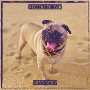 Listen to Nechaj to Tak song with lyrics from Mišo Biely