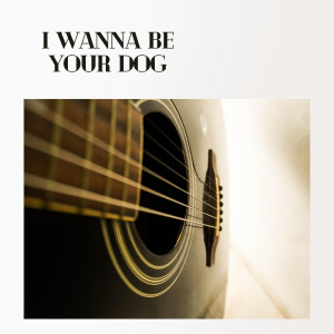 Various Artists的專輯I Wanna Be Your Dog