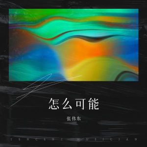 Listen to 怎么可能 (伴奏) song with lyrics from 张伟东