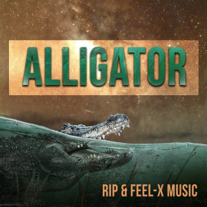 Feel-X Music的專輯ALLIGATOR (Explicit)