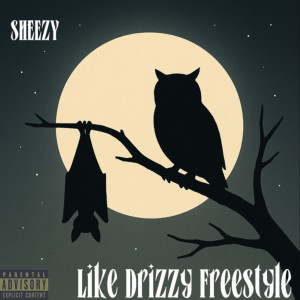 Album Like Drizzy Freestyle (Explicit) from 